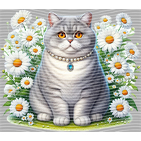 Animal Integration-DW 1911